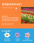 온라인/오프라인 원예컬러테라피(원예색채심리상담사) 자격증 2급(베이직) 과정 : 샹페트르 살롱