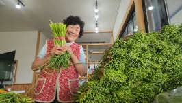영천 국산 마늘쫑 1kg : 별빛촌농장