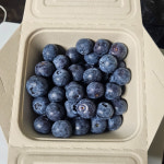 GAP 하동 햇블루베리 생과 1kg 농가직배송 당도 가득 : 공드림농장