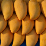 태국망고 골드망고 2kg 4kg 5kg 선물세트 : 마시썸