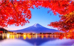 9/17 부산출발 일본 크루즈여행 6일 : 조아유투어
