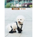 강아지 장화 일체형 블랙 발보호 레인부츠 웨어 대형 보호 권장 적용 나들이 막이 반려동물 집에서 반려견 2 8근 요청 펫신발 방수 XS 반려묘... 