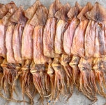 마른오징어 (원양산 4마리기준) : 쏠수산