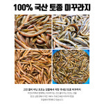 진짜 자연산 토종 미꾸라지 500g , 100%국내산 민물고기 추어탕 어죽 민물매운탕 : 자연나라다슬기