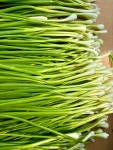 국내산 흙/깐쪽파 실파 깐파 쪽파 1KG : 단비Farm농장