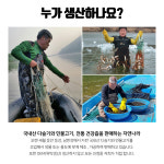 진짜 자연산 토종 미꾸라지 500g , 100%국내산 민물고기 추어탕 어죽 민물매운탕 : 자연나라다슬기