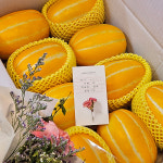 성주 참외 실속 가정용 고당도 꿀 참외 2kg 3kg 5kg 10kg 보화 농장 직송 가정의 달 : 인베이션