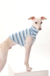 이탈리안 그레이하운드 여름 물결 스트라이프 나시 (2color) : 일루하운드