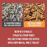 진짜 자연산 토종 미꾸라지 500g , 100%국내산 민물고기 추어탕 어죽 민물매운탕 : 자연나라다슬기