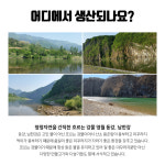 진짜 자연산 토종 미꾸라지 500g , 100%국내산 민물고기 추어탕 어죽 민물매운탕 : 자연나라다슬기