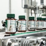 그린펫엔젯 강아지 관절 영양제 조인트츄 슬개골 뉴질랜드 정품 60정 2달분 : 그린펫엔젯코리아