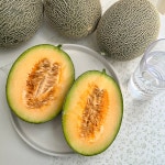 설향메론 백자메론 하니원멜론 하미과 양구 멜론 : 달콤초록