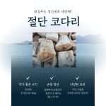 제철생선 손질 모듬생선세트 냉동생선구이 : 대길푸드