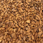 오발넛츠 짭쪼름 캘리포니아 구운 가염아몬드1Kg : 오발Obal