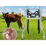 송아지 재활보행기 걸음마 연습 목장 워커 보조기 단일상품 : 모아케이컴퍼니