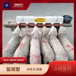 목장 급수기 우유통 급여기 염소 젖병 수유기 피더 6구 + 젖꼭지 20개 : 슈퍼동키