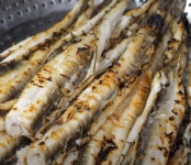 통영바다장어 통영 장어 구이 손질 요리 맛집 갯장어 1kg 특대 : 스팀플러스