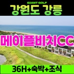 강릉 6월 사전예약 가능한 메이플비치cc 36홀과 리조트 조식까지포함된 1박2일골프 : 자이언트1박2일골프