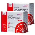 면역케어 비타민C 분말 스틱 비타민C 가루 60포 2박스 : 지니블름