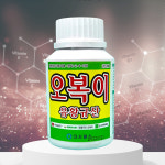 오복이 200ml작물 활력 & 병해 예방을 한 번에 유황규산 잎마름병 탄저병 비료 영양제 : 뿌리고스토어