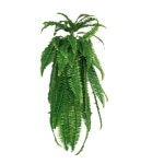 모루꽃 인공 심은 장식 화관 페르시아 핑크 나뭇가지 야외 정원 압화 화분에 컬러 1 21잎 해마 잎 30cm 정도 펼친다 : 더마인스토어