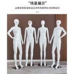 여성 의류 매장용 전신 여성맞춤 다용도 참고 인형 쇼핑몰 대머리 속옷 컬러마네킹 룩북 20 계란형 머리를 곧게 세우다. 1 계란형... 