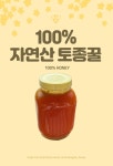 25년 햇꿀 강릉 왕산면 대기리에서 직접 채취한 토종꿀 1.2kg : 왕산토봉마을