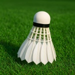 [B급] 스포홀릭 배드민턴 셔틀콕 공 깃털 12p 고급형 : 스포홀릭