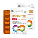 종근당 활력 비타민B 플러스 2박스(4개월분) 나이아신 비오틴 엽산 판토텐산 : 그린코어몰