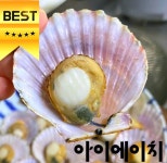 고품격식감 쫄깃하고 달콤한 홍가리비 : 아이에이치마트