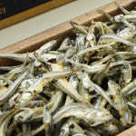 한진건해 고바멸치 상급 특급 국내산 고바 멸치 (4~5cm) 200g 500g 1.5kg : 자연담은 산해림