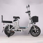 용부 16인치 자전거 전동 V3 접이식 48V2500W30AH ER 전기 : 젬젬바이