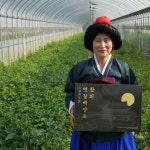 토댁 성주 참외 못난이참외 3kg, 1개 : 토댁