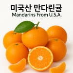 [항공직송] 큐티스 초고당도 만다린 귤 프리미엄  9kg 1박스 : 먹자 마켓