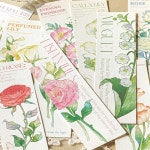 Mr. Paper 특별한 판지 책갈피, 창의적인 꽃 선물, 축복 메시지 카드, 1 가지 스타일, 20 개 : 바림무역