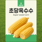 초당 옥수수 씨앗 종자 여름 옥수수씨앗 : 바른 씨앗