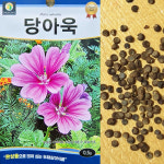 당아욱씨앗 0.5g 두해살이 금규 라고도불립니다 : 이파주