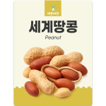 땅콩씨앗 땅콩씨 종자 품종 콩류 재래종 : 바른 씨앗