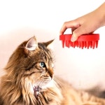 LM6 고양이 브러쉬 죽은털제거 그루밍 고양이빗 털제거기 마사지 : 라잇 모먼트