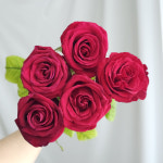 빨간장미 5송이 생화 로즈데이 성년의날 꽃다발 선물 꽃배달싼곳 : 감성온도 36.5