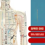 침술 마네킹 실습 모델 피부 마사지 경략 관리 제품 인체 1. 남성 동색 (50cm) : 해담글로벌