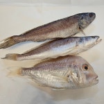 제수용 생선 세트 마른 반건조 반찬용 제수용 말린생선 : 부산 포항상회