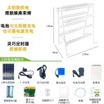 업글 수경재배 4단 가정용 램프 채소재배기 야채농사 베란다 8층 사다리꼴 : 루벨리나