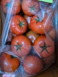 3kg [더생생] 산지직송 직접키운 완숙토마토 김제스마트팜 : 더생생