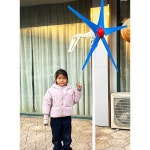 풍력발전기날개 실험 태양열설치 캠핑 에너지 풍차 300W12v3날개+컨트롤러+5m선 : 천향상사