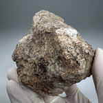 공룡 분(똥) 화석(Cop9) Coprolite Dinosaurus 공룡화석 Fossil 화석표본 중생대 쥬라기 : 석보 코리아