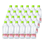 이로하스 일로하스 피치 540ml PET 24입 : 코카콜라직영몰