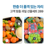 백수네 프리미엄 제철 과일선물세트 혼합과일 맞춤구성 기업 출산선물 명절선물 : 백수네상회