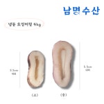 (4kg) 냉동오징어링 오징어튀김 짬뽕 절단 대용량 벌크 : 남명수산유통
