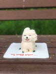 반려동물 주문제작 케이크(오프라인만가능) : 메이드알콩